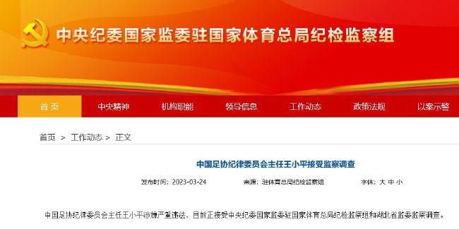视频一区精品自拍